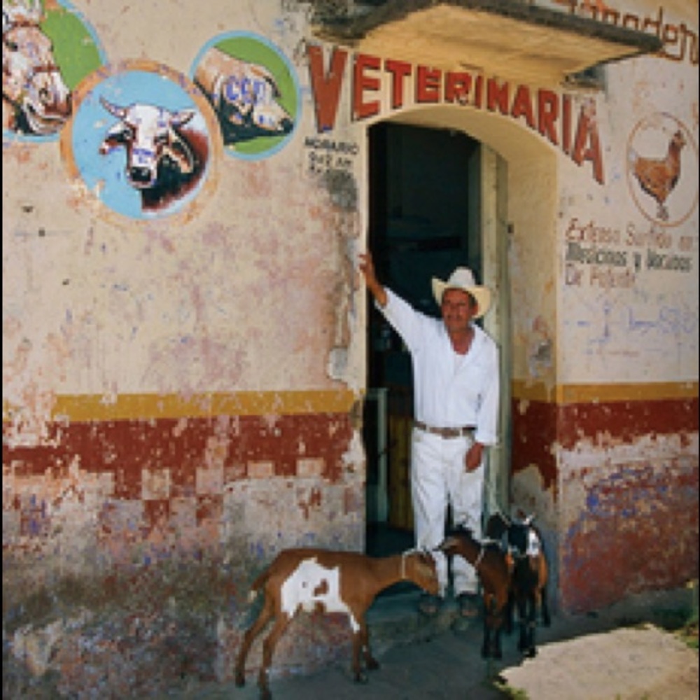Country Vet by Tomas Spangler